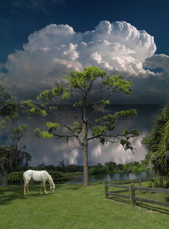 Sky Art Print featuring the photograph 5066 by Peter Holme III