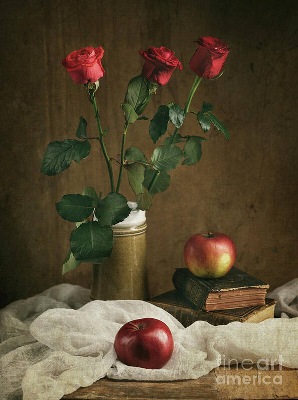 Roses Art Print featuring the photograph Still Life #7 by Jelena Jovanovic