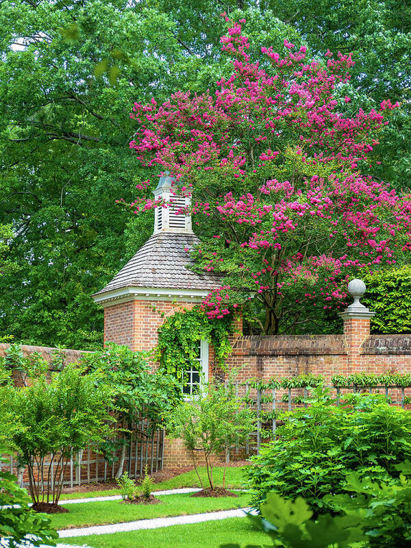 Colonial Williamsburg Art Print featuring the photograph A Sweet Escape by Rachel Morrison