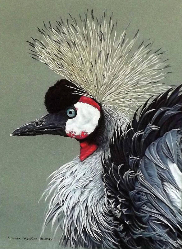 Bird Art Print featuring the painting African Crowned Crane by Linda Becker