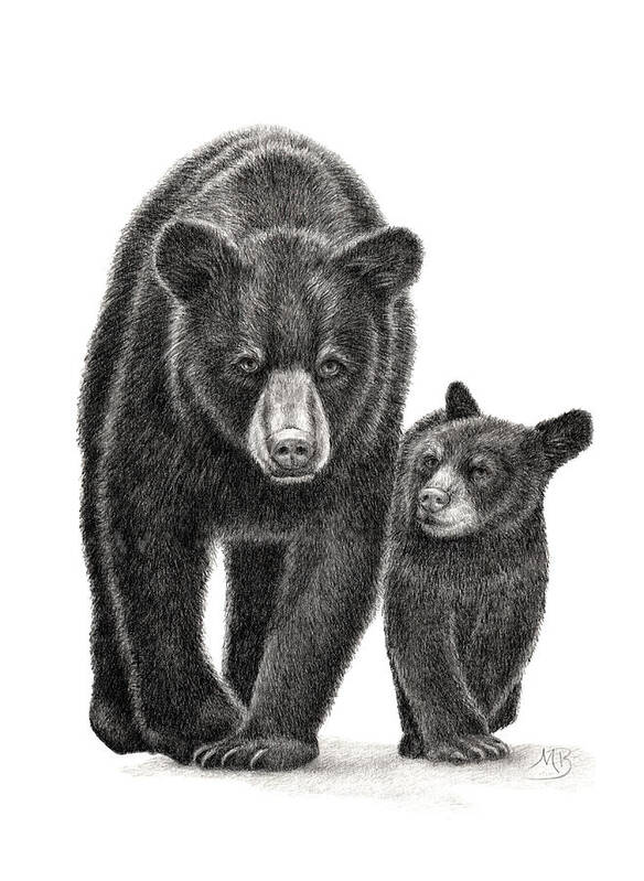 Black Bear Art Print featuring the drawing The Why Phase by Monica Burnette