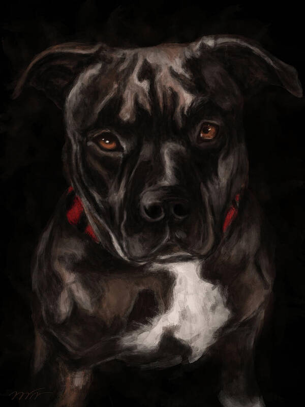 Pit Bull Art Print featuring the painting American pitbull painting, Pit bull by Nadia CHEVREL