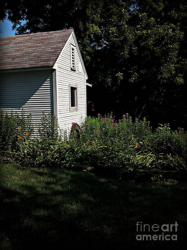 Back Yard Flower Garden Art Print featuring the photograph Backyard Flowers Morning Sunlight by Frank J Casella