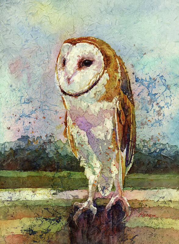 Owl Art Print featuring the painting Barn Owl by Hailey E Herrera