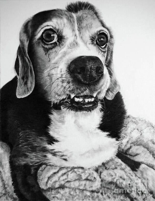 Dog Art Print featuring the drawing Beagle Mix by Terri Mills