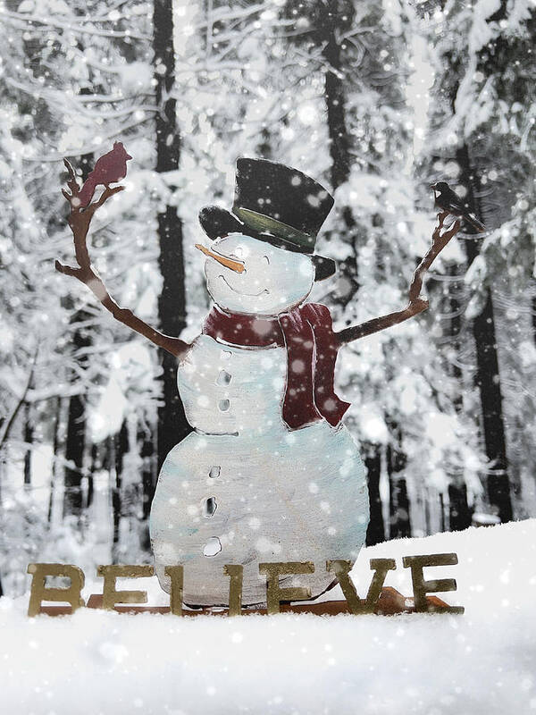 Believe Art Print featuring the photograph Believe by Steph Gabler