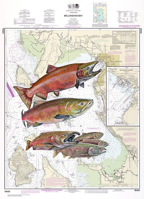 Salmon Art Print featuring the painting Bellingham Bay Sockeye by Mark Ray