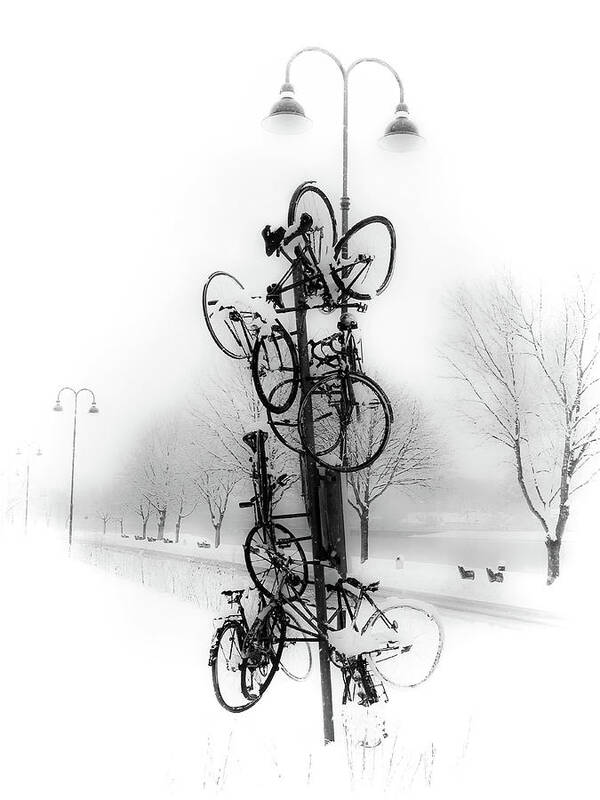 Ybbs Art Print featuring the photograph Bicycle Lamppost in Winter by Menega Sabidussi