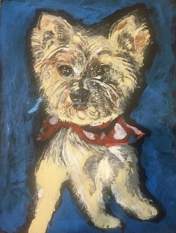 Yorkie Art Print featuring the painting Yorkshire Terrier Teddybear by Melody Fowler