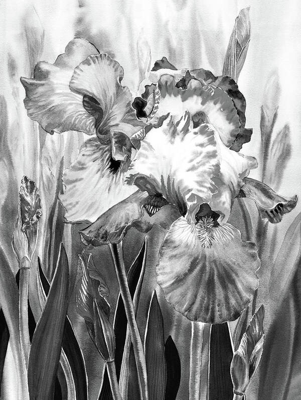 Iris Art Print featuring the painting Black And White Iris Flower In The Garden Watercolor by Irina Sztukowski