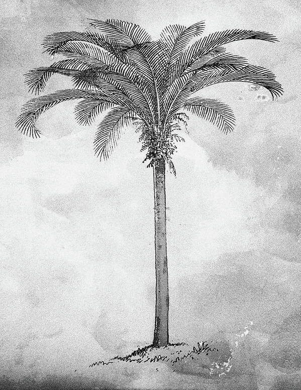Black Palm Art Print featuring the digital art Painted Black Palm by Kandy Hurley
