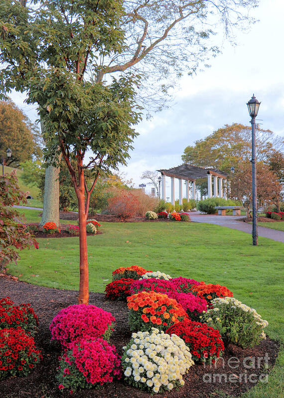 Brewster Gardens Art Print featuring the photograph Brewster Gardens in October by Janice Drew