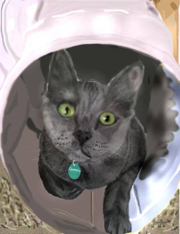 Grey Cat Cat In Tunnel Pencil Sketch Digitally Enhanced Art Print featuring the mixed media Bright eyes by Pamela Calhoun