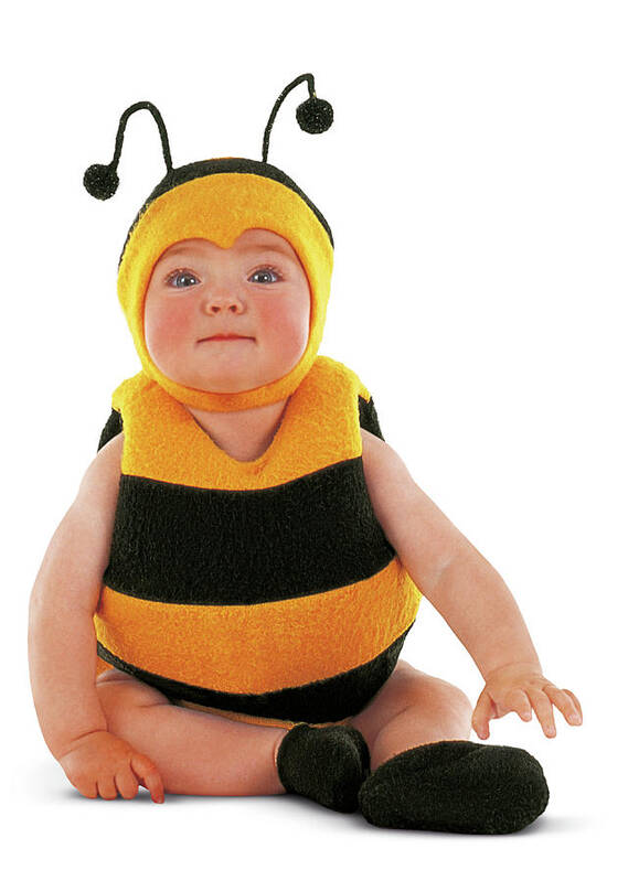 Bee Art Print featuring the photograph Bumblebee #3 by Anne Geddes