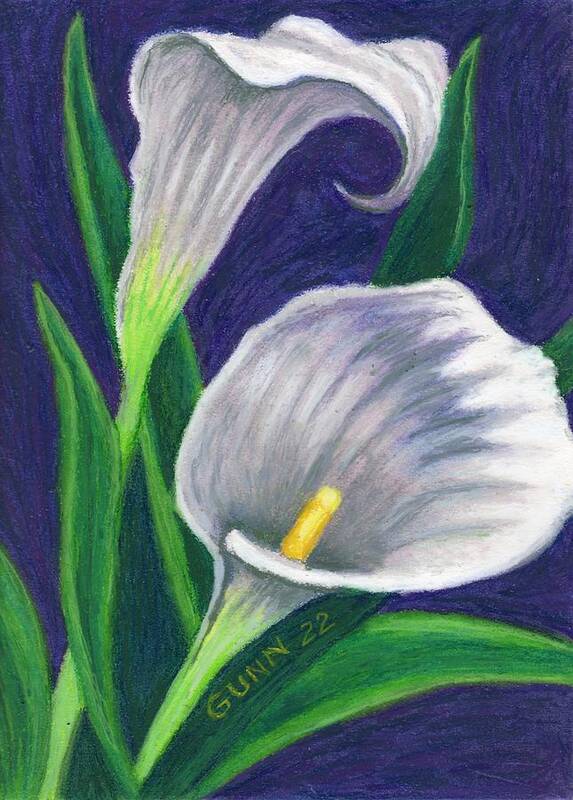 Calla Lilies Art Print featuring the pastel Calla Lilies 4 by Katrina Gunn