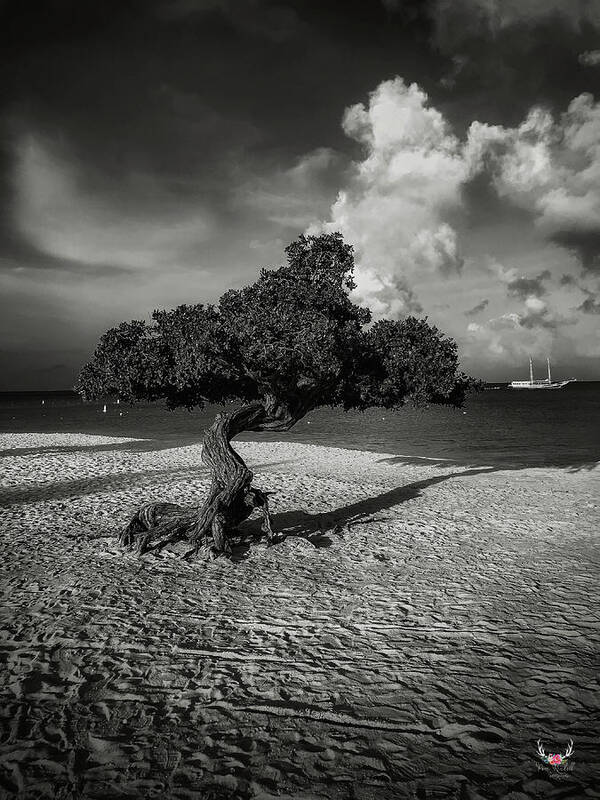 Blackandwhite Art Print featuring the photograph Caribbean Vacation by Pam Rendall
