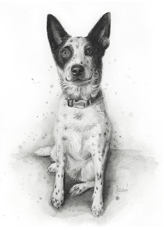 Dog Art Print featuring the painting Cattle Dog Portrait by Olga Shvartsur
