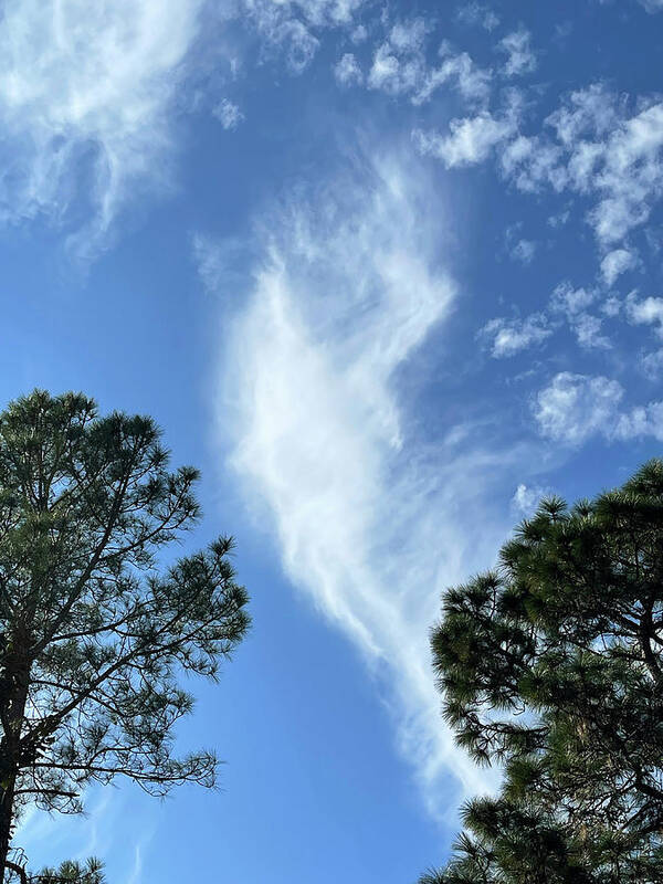 Clouds Art Print featuring the photograph Christmas Angel Cloud 2021 by Matthew Seufer