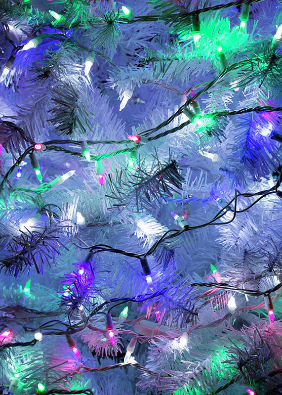 Christmas Art Print featuring the photograph Christmas Blues Tree Close Up by Robert Wilder Jr