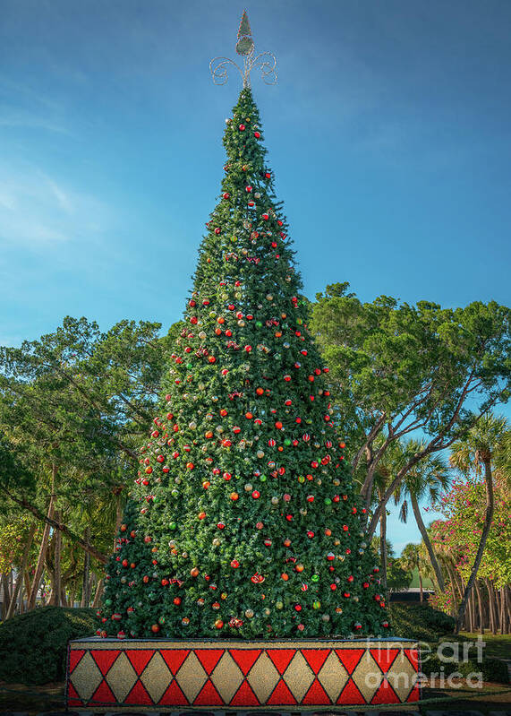 Bird Key Art Print featuring the photograph Christmas Tree at St. Armand's Circle, Sarasota, Florida by Liesl Walsh