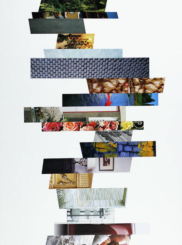 Collage Art Print featuring the photograph Crosscut#113v by Robert Glover