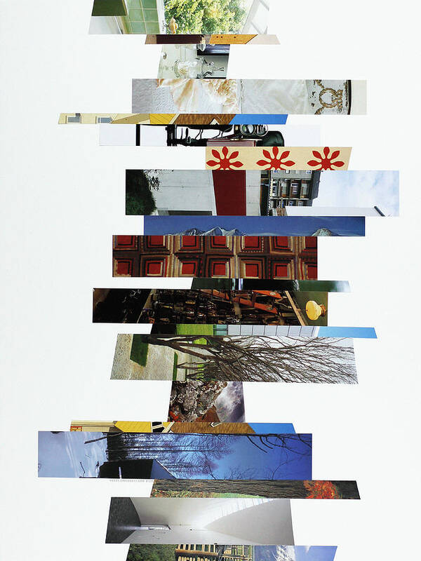 Collage Art Print featuring the photograph Crosscut#126v by Robert Glover
