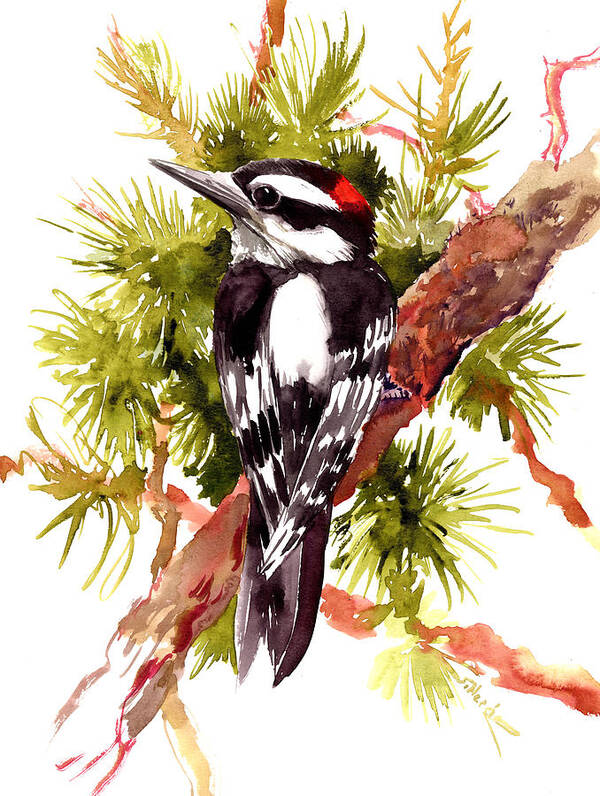 Woodpecker Art Print featuring the painting Downy Woodpecker by Suren Nersisyan