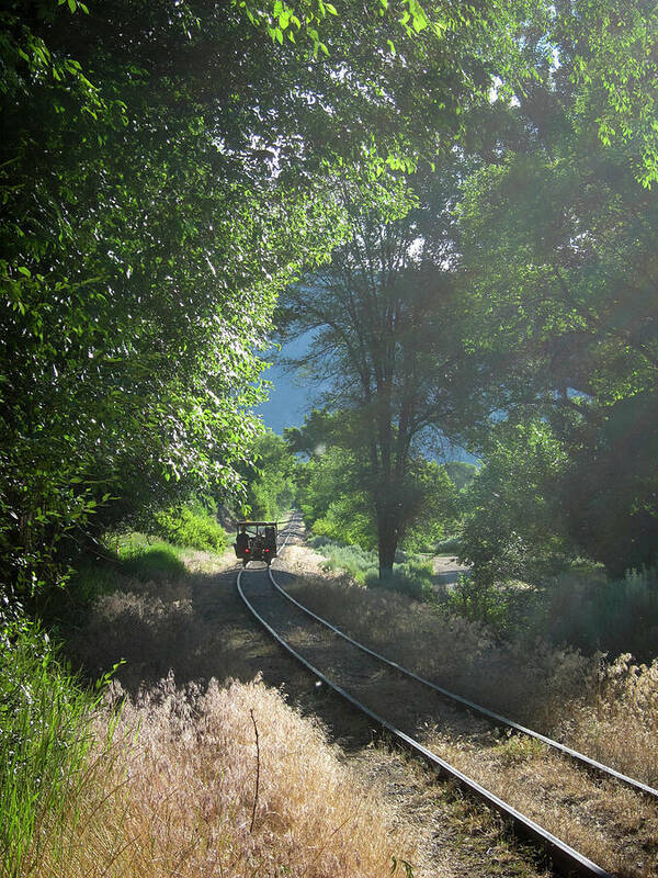 Train Art Print featuring the photograph Durango and Silverton Narrow Gauge Maintenance by Mary Lee Dereske