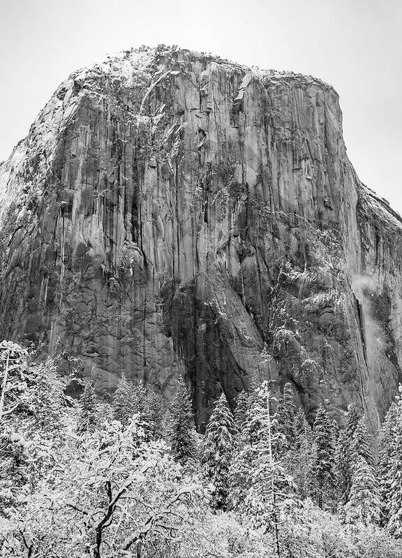 El Capitan In The Snow Yosemite National Park Art Print featuring the photograph El Capitan in the snow Yosemite National Park by Dustin K Ryan