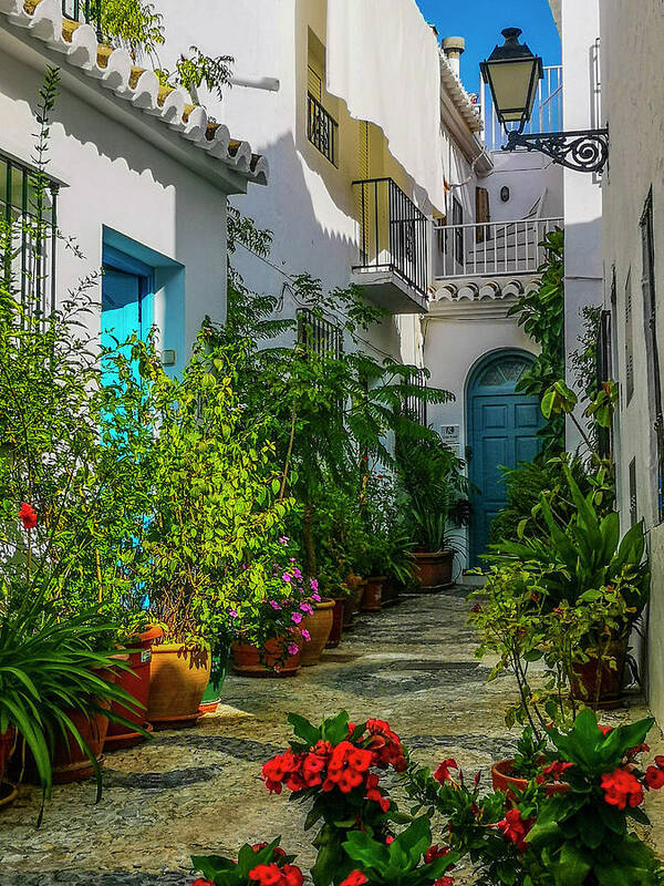 Andalucia Andalusia Architectural Heritage Architectural Styles Atmospheric Attraction Charming Cobble Pattern Cobbled Street Community Conservation Culture Design Eras EspaÑa EspaÑol Flowers Frigiliana Heritage Historic History Houses Land Malaga Province Moorish Arabic Old Peace Peaceful Perception Preserved Pretty Roads Seasons Secluded Spain Spanish Street Art Street Life Time Transportation Transport White Village Winding Streets Winter Art Print featuring the photograph Flower Filled Alley in Frigiliana, Malaga Province, Andalucia, Spain by Panoramic Images