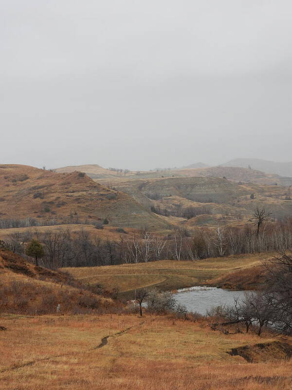 Fog Art Print featuring the photograph Foggy Badlands Pond by Amanda R Wright