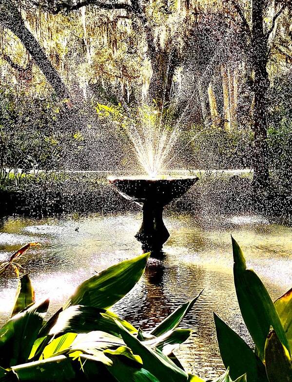 Fountains Art Print featuring the photograph Fountains in the Sunny South by John Anderson