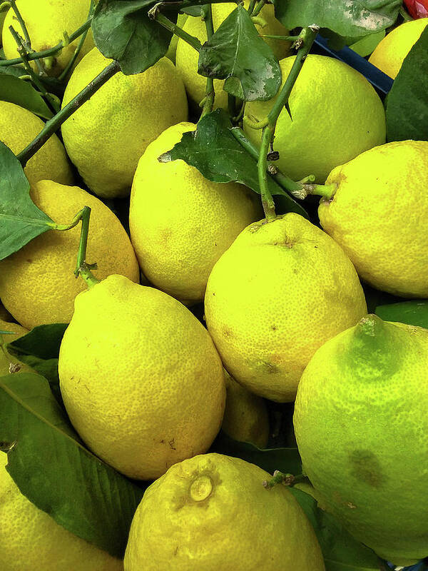 Italy   Color Image     Vertical     Amalfi Coast ×travel ×no People ×travel Destinations ×town ×famous Place ×village ×sorrento - Italy ×campania ×outdoors ×italian Culture ×european Union ×lemon - Fruit ×freshness ×market Stall ×food ×fruit ×citrus Fruit ×leaf ×ripe ×close-up ×agriculture × Art Print featuring the photograph Fresh Lemons by Marian Tagliarino