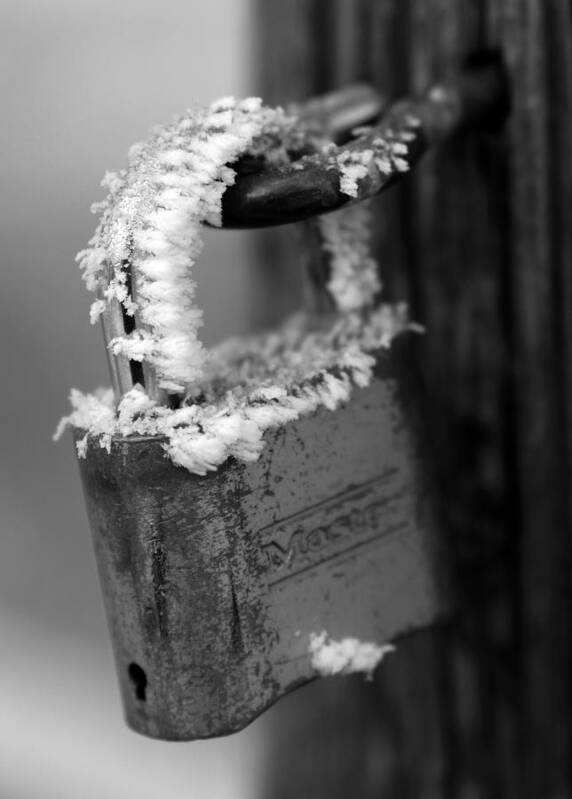 Frost Art Print featuring the photograph Frozen Lock by Rick Wilking