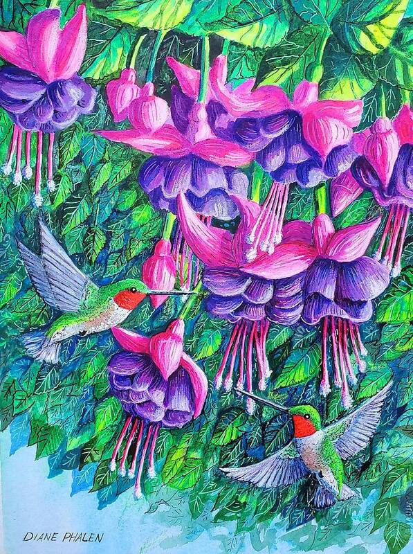 Fuchsia. Hummingbirds Art Print featuring the painting Fuchsia Frolic by Diane Phalen