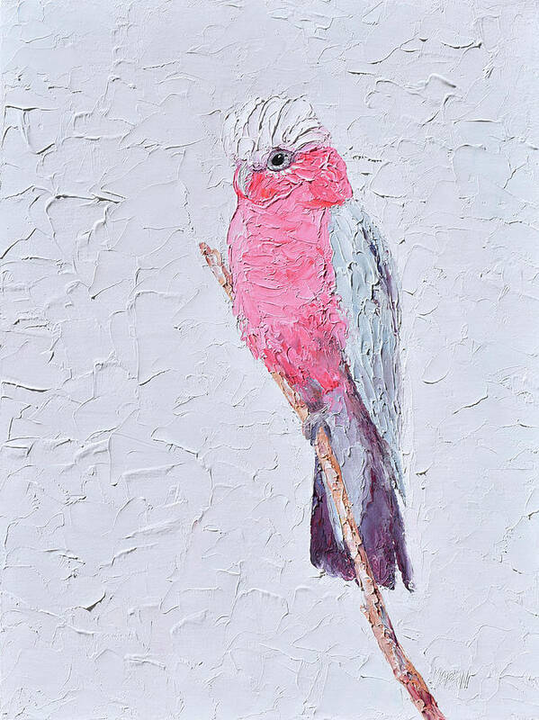 Galah Art Print featuring the painting Galah - native bird painting by Jan Matson