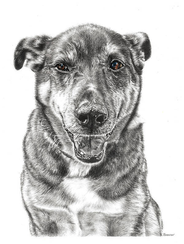 Dog Art Print featuring the drawing Happy Pooch by Casey 'Remrov' Vormer