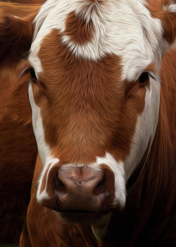Cow Art Print featuring the photograph Home On The Range by Theresa Tahara