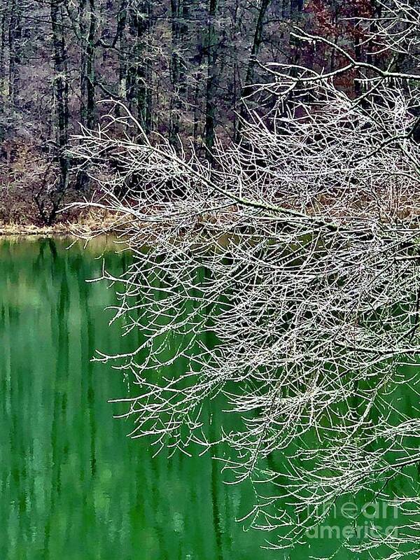 Craig Art Print featuring the photograph Ice Tree Over Lake by Craig Walters