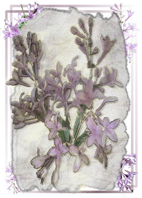 Lavender Art Print featuring the digital art Lavender Lilac Fossil Floral Design by Delynn Addams