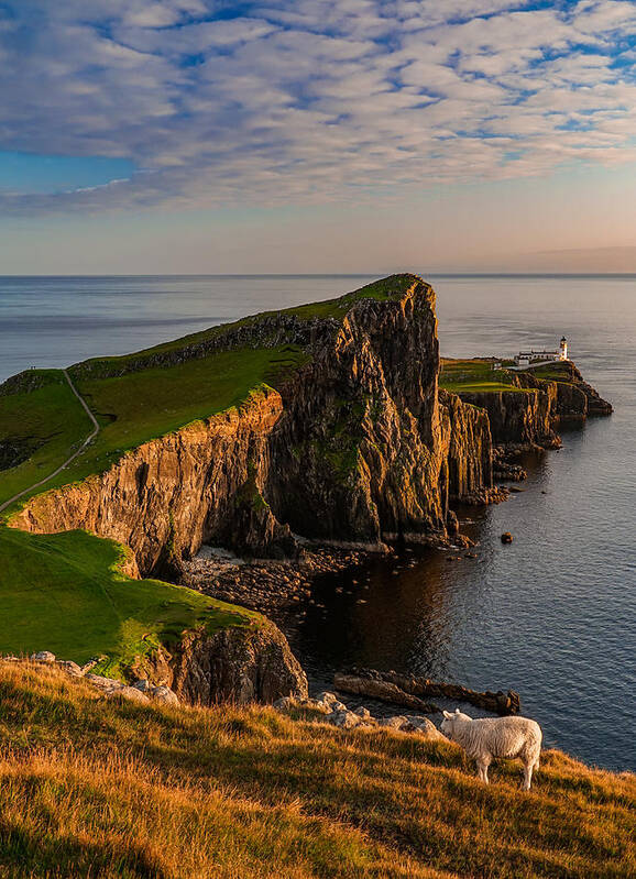 Neist Point Art Print featuring the photograph Life in Isle of Skye by George Afostovremea