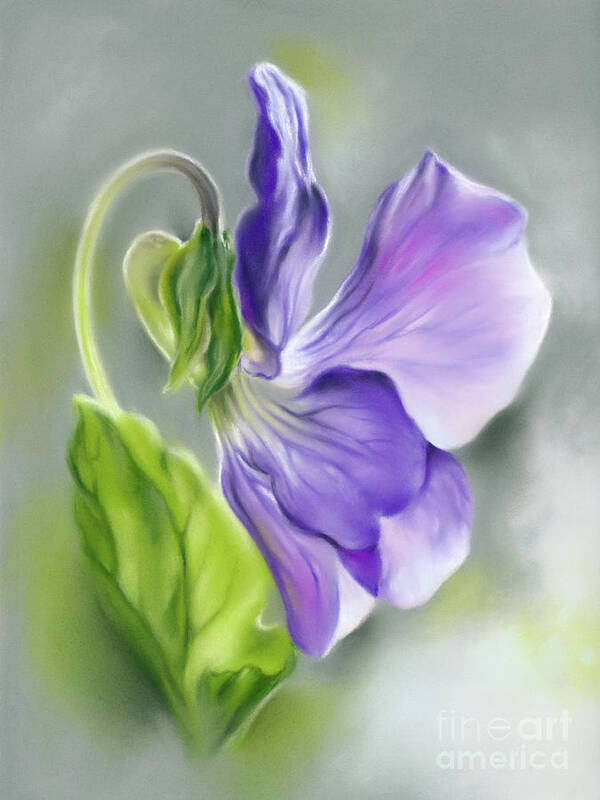 Botanical Art Print featuring the painting Light Purple Violet with Green Leaf by MM Anderson