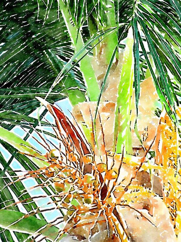Palm Art Print featuring the painting Little Coconuts Growing by Carlin Blahnik CarlinArtWatercolor