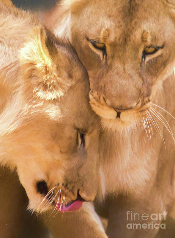 Lion Art Print featuring the photograph Love is by Sheila Smart Fine Art Photography