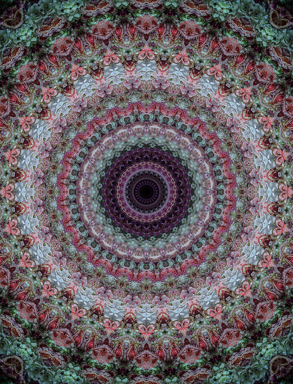 Mandala Art Print featuring the photograph Mandala in red, grey and green tones by Jaroslaw Blaminsky