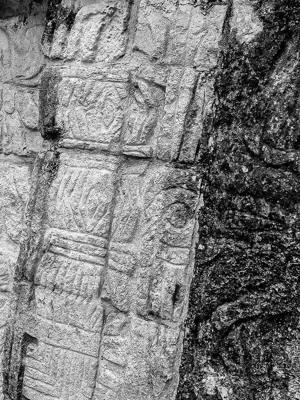 Mayan Art Print featuring the photograph Mayan Wall Carvings - Chichen Itza by Frank Mari