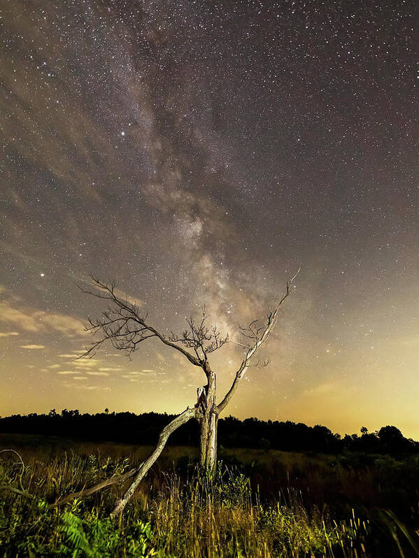Milky Way Art Print featuring the photograph Milky Way by Travis Rogers