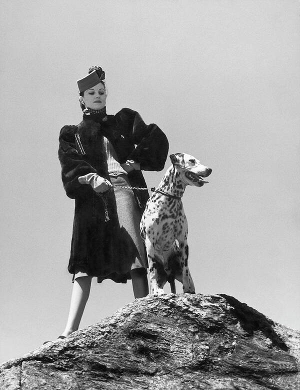 Dog Art Print featuring the photograph Model With Dalmation by Toni Frissell