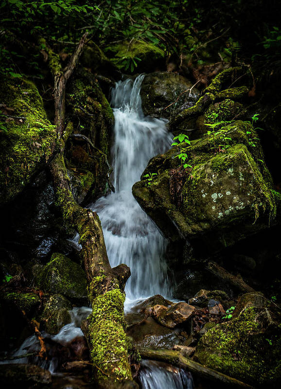 Waterfall Art Print featuring the photograph Mossy Waterfall by Lisa Lambert-Shank