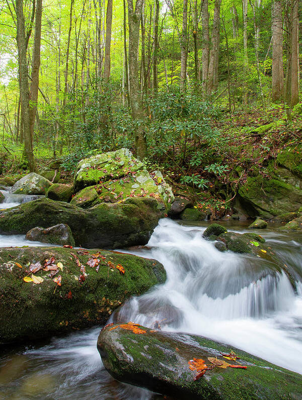 Tennessee Art Print featuring the photograph Mountain Water by Larry Bohlin